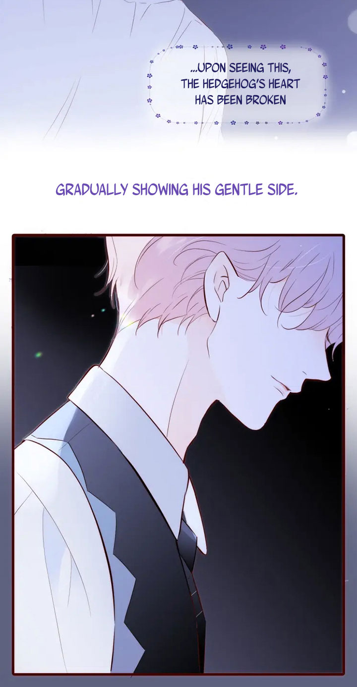 The Beauty Ran Away with The Hedgehog Chapter 0 - page 21