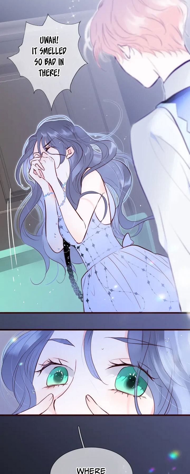 The Beauty Ran Away with The Hedgehog Chapter 1 - page 24