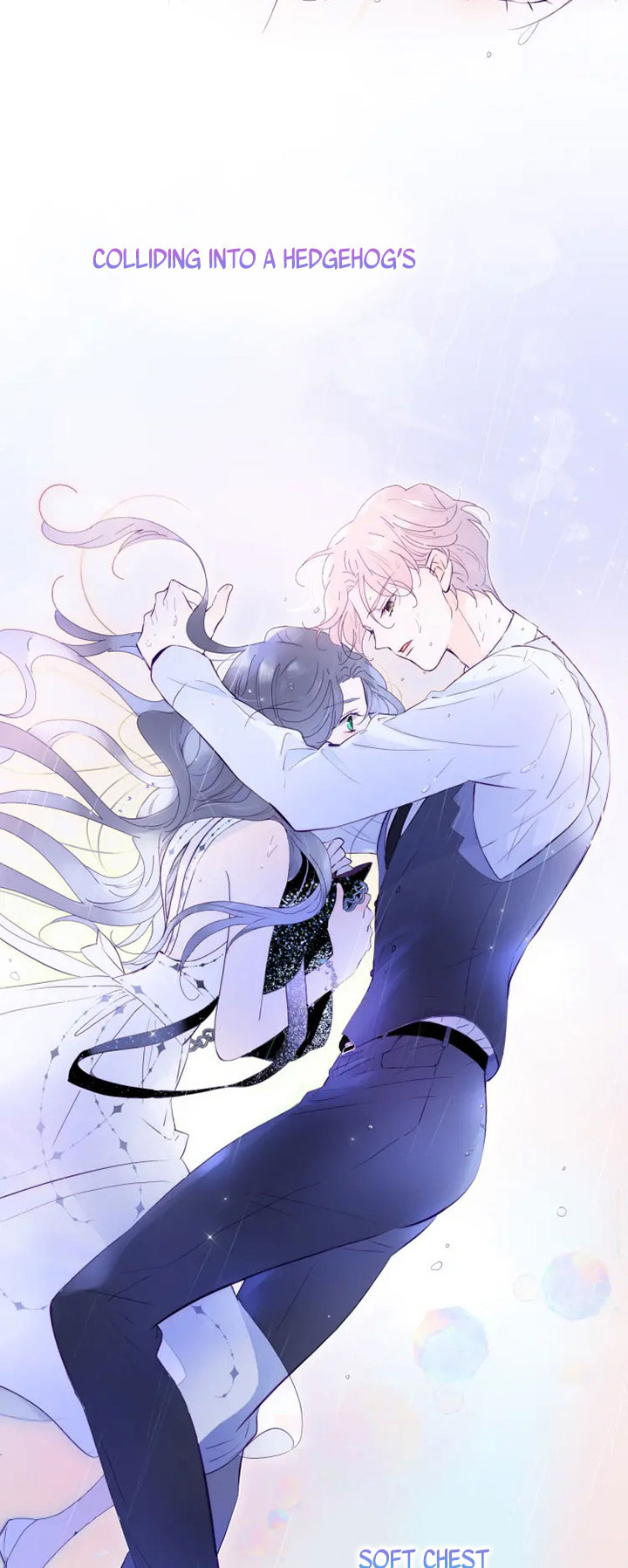 The Beauty Ran Away with The Hedgehog Chapter 1 - page 5