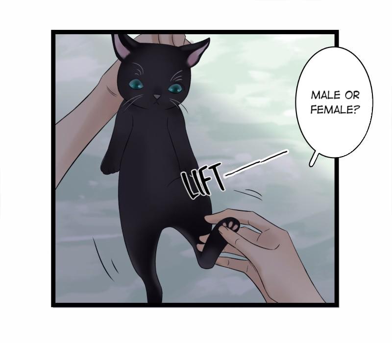 Prince Edward’s Heart Was Stolen Chapter 37 - page 11