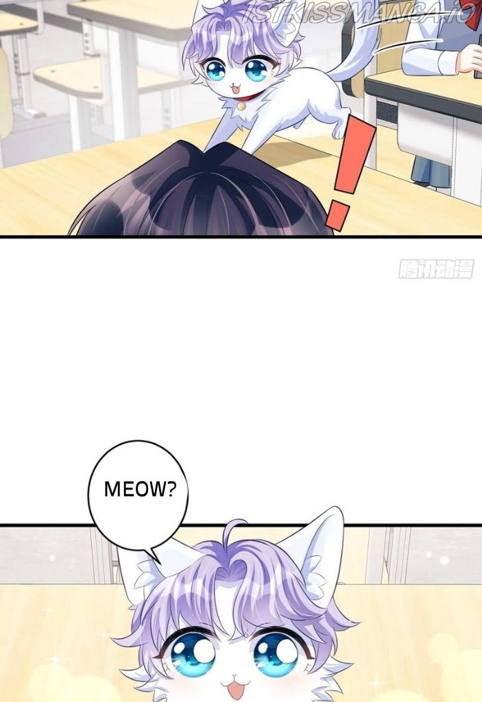 I suspect the movie emperor is luring me chapter 48.5 - page 15