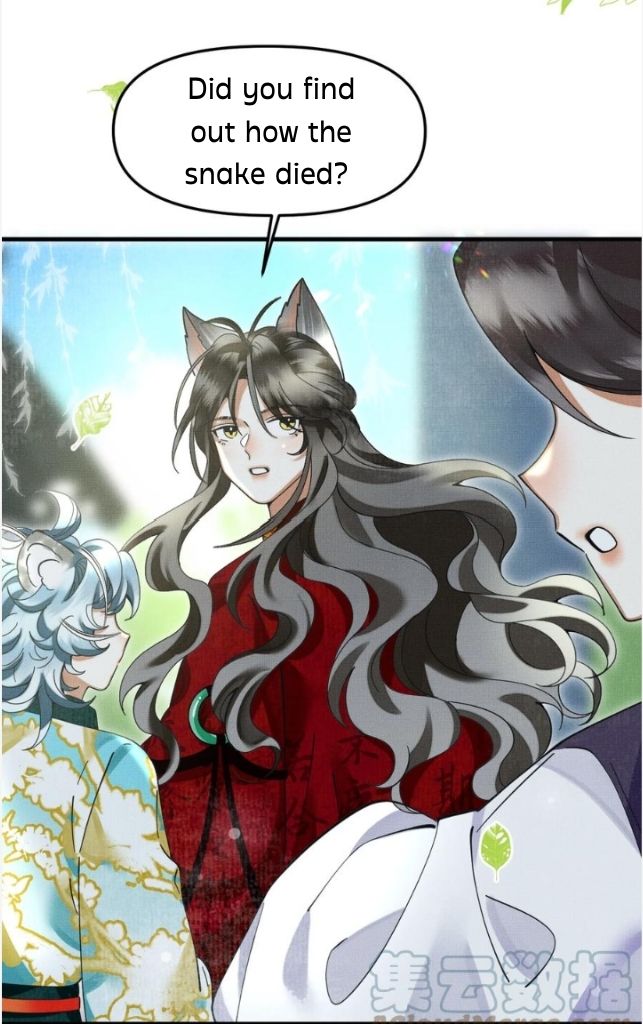 The Tail And Tale Of A Snow Leopard Chapter 50 - page 28