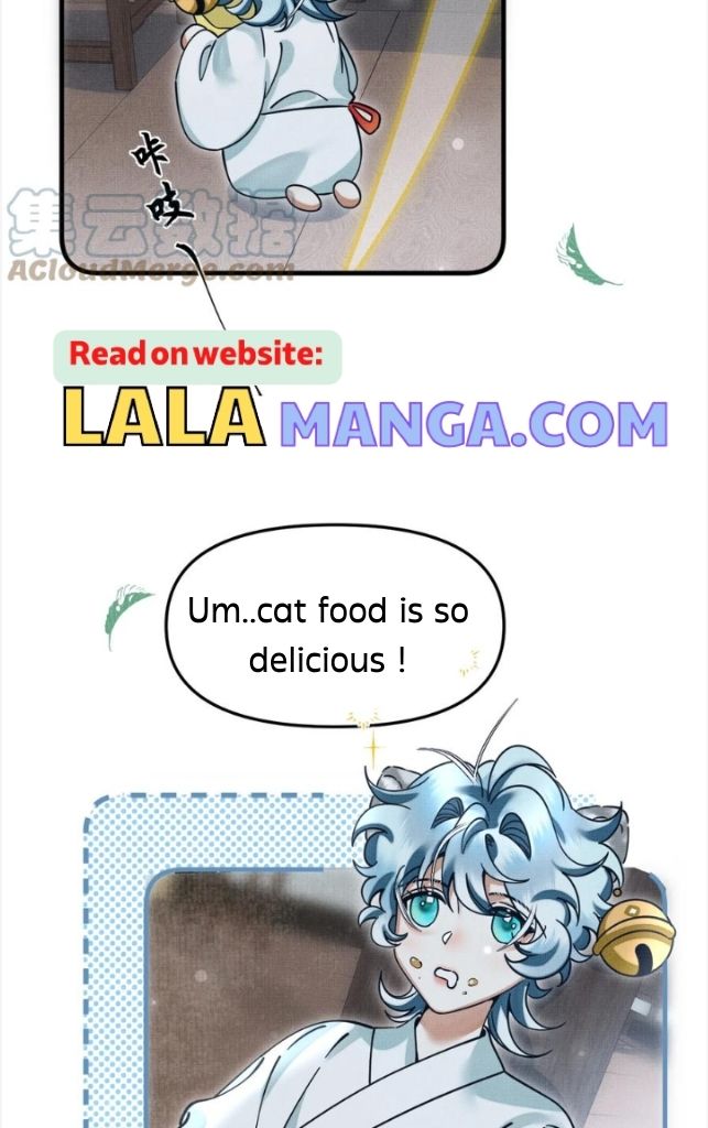 The Tail And Tale Of A Snow Leopard Chapter 50 - page 45