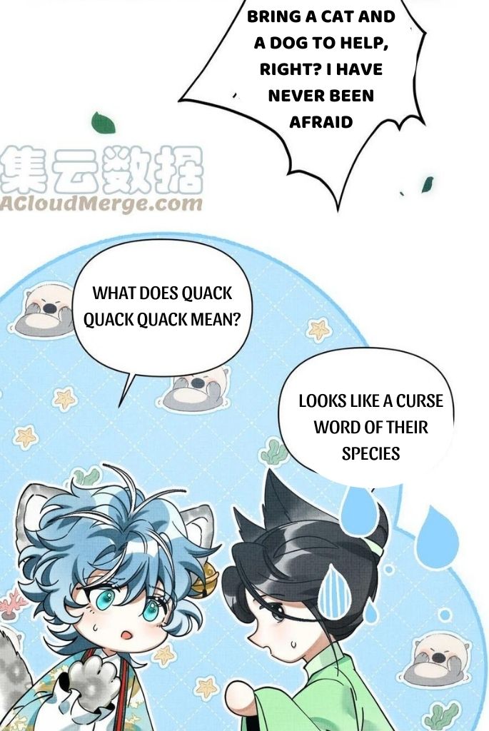 The Tail And Tale Of A Snow Leopard Chapter 41 - page 70