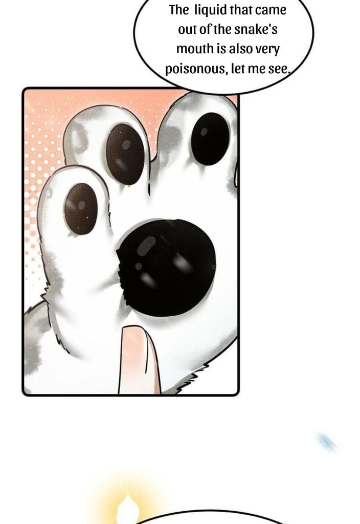 The Tail And Tale Of A Snow Leopard Chapter 37 - page 13