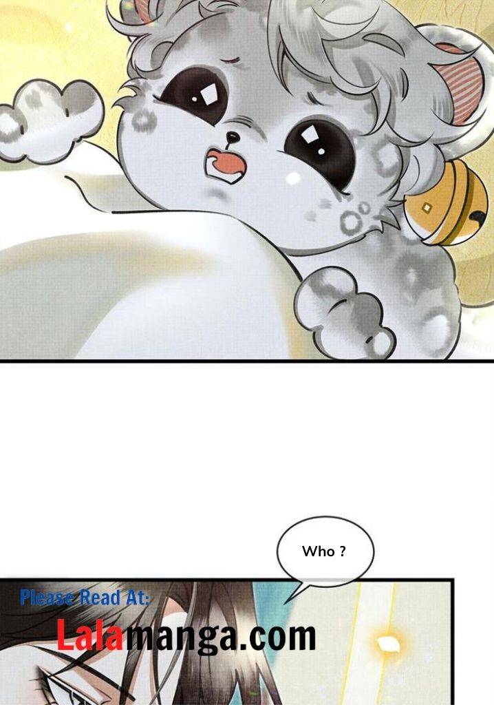 The Tail And Tale Of A Snow Leopard Chapter 25 - page 40
