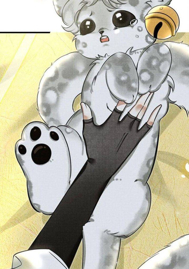 The Tail And Tale Of A Snow Leopard Chapter 25 - page 42