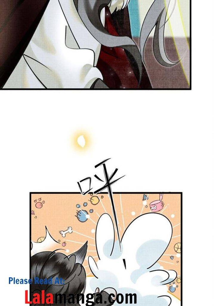The Tail And Tale Of A Snow Leopard Chapter 25 - page 44