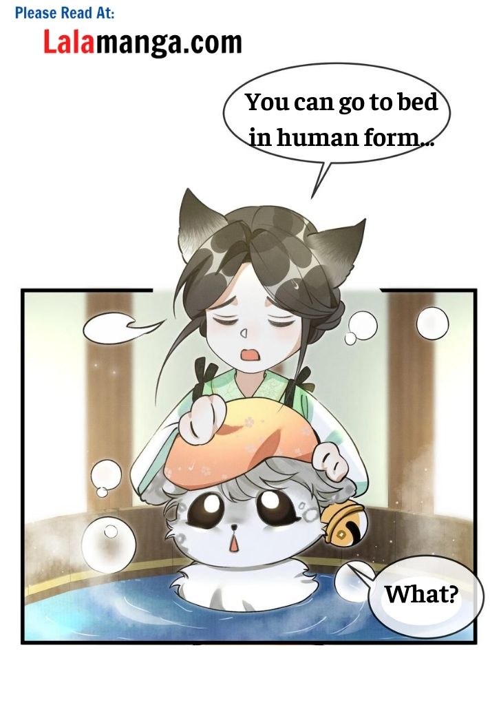 The Tail And Tale Of A Snow Leopard Chapter 12 - page 11