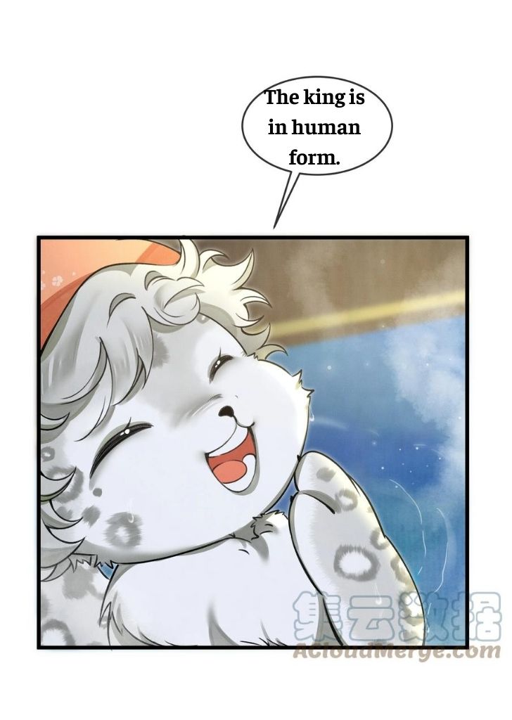 The Tail And Tale Of A Snow Leopard Chapter 12 - page 14