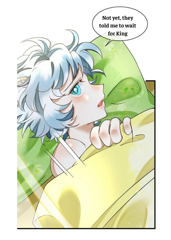 The Tail And Tale Of A Snow Leopard Chapter 12 - page 33