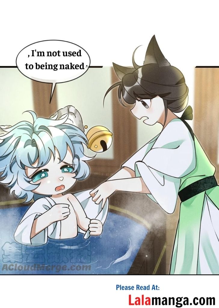 The Tail And Tale Of A Snow Leopard Chapter 12 - page 5