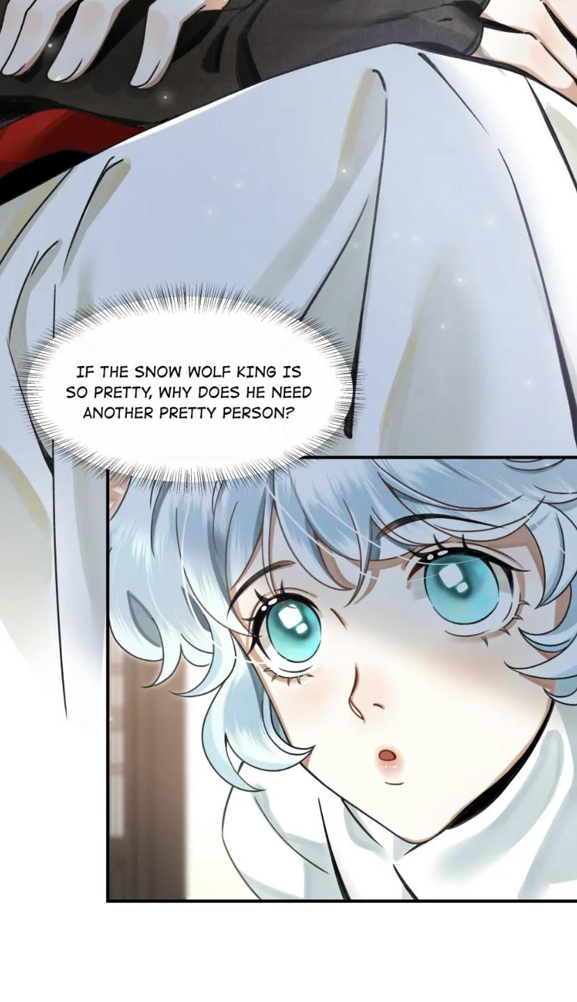 The Tail And Tale Of A Snow Leopard Chapter 1 - page 29