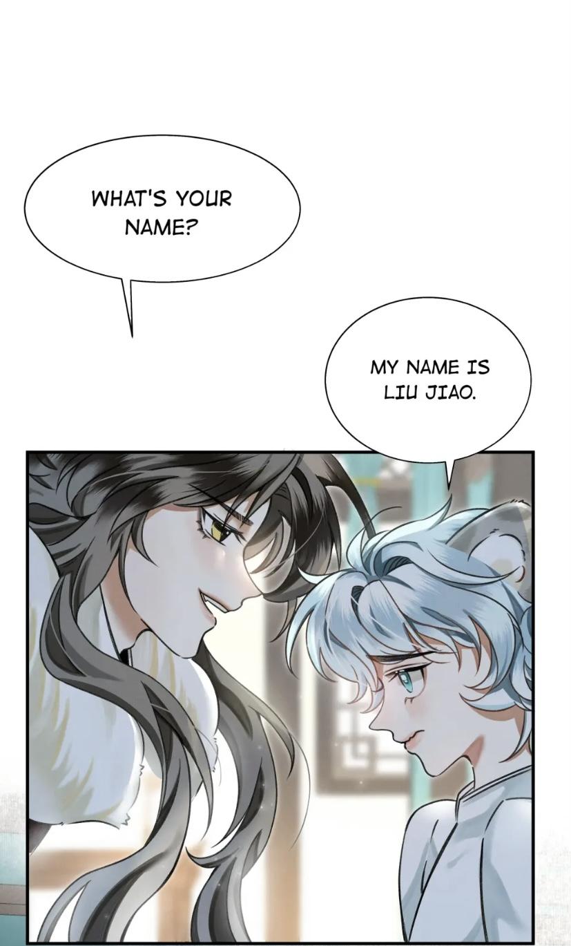 The Tail And Tale Of A Snow Leopard Chapter 1 - page 30