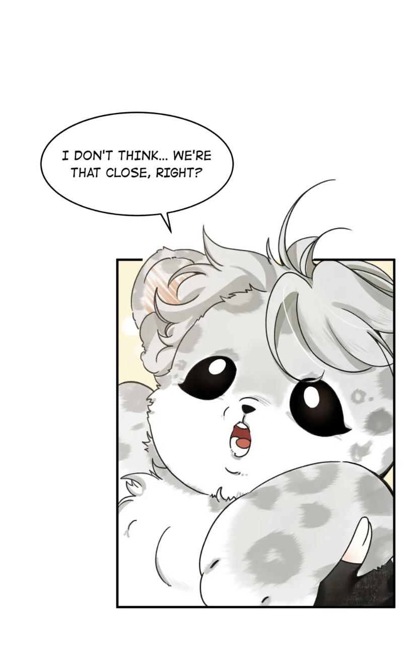 The Tail And Tale Of A Snow Leopard Chapter 1 - page 58