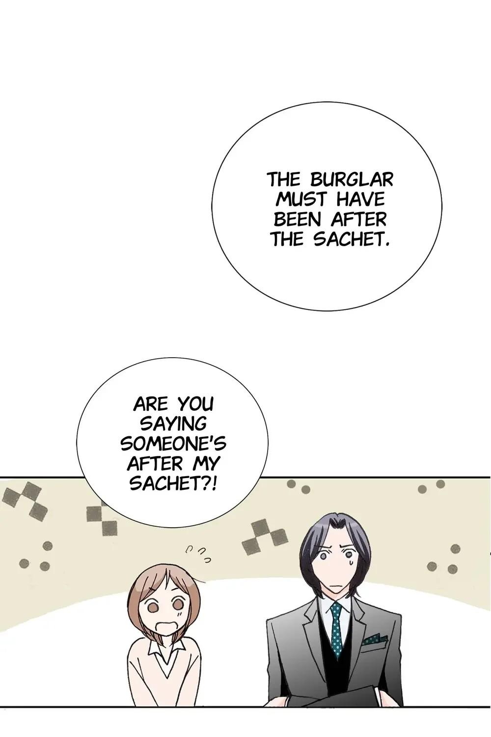 The Sachet of the Last Empress chapter 19 - page 13