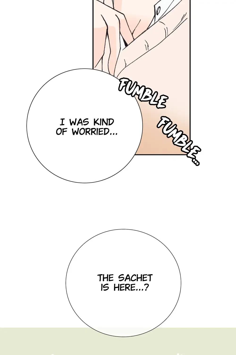 The Sachet of the Last Empress chapter 19 - page 6