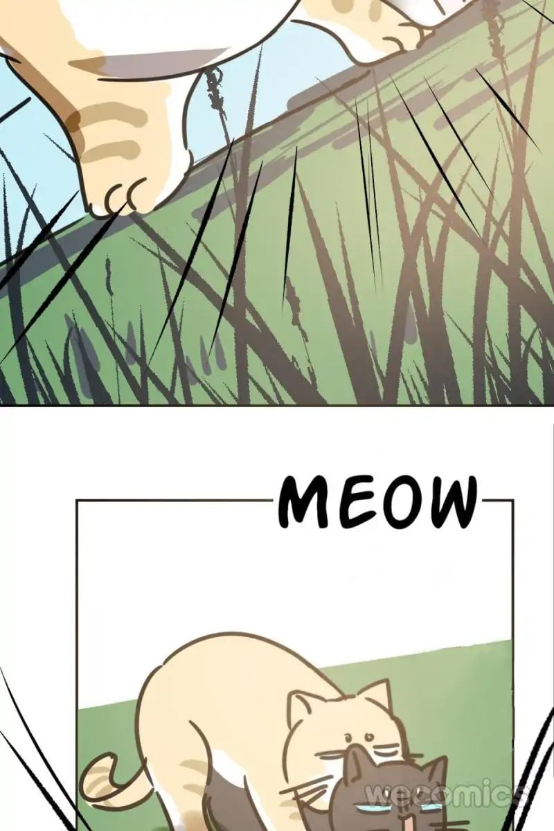 AoAo Waiting to Be Eaten (Caught!!) Chapter 25 - page 46