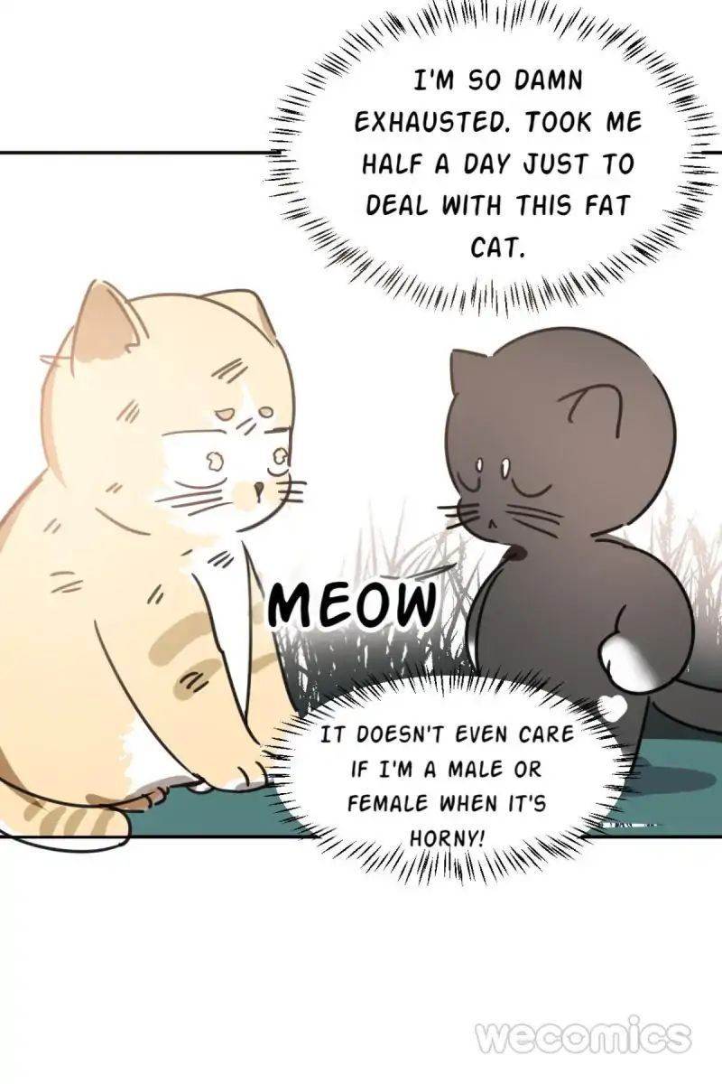 AoAo Waiting to Be Eaten (Caught!!) Chapter 25 - page 49