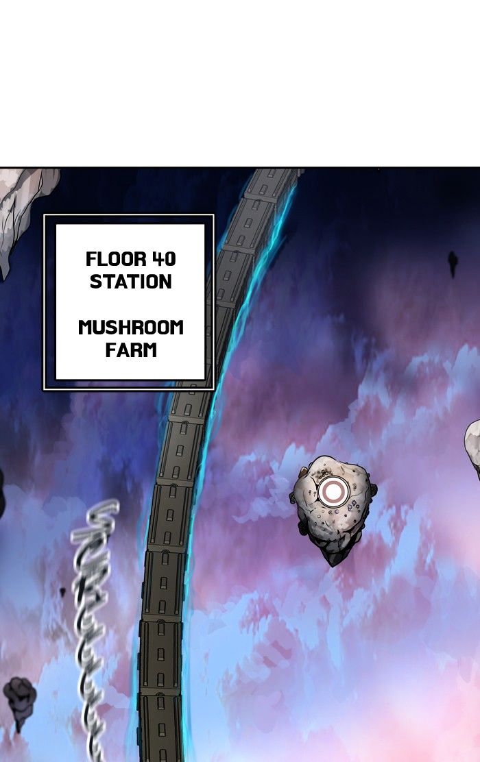 Tower of God chapter 310 - page 12