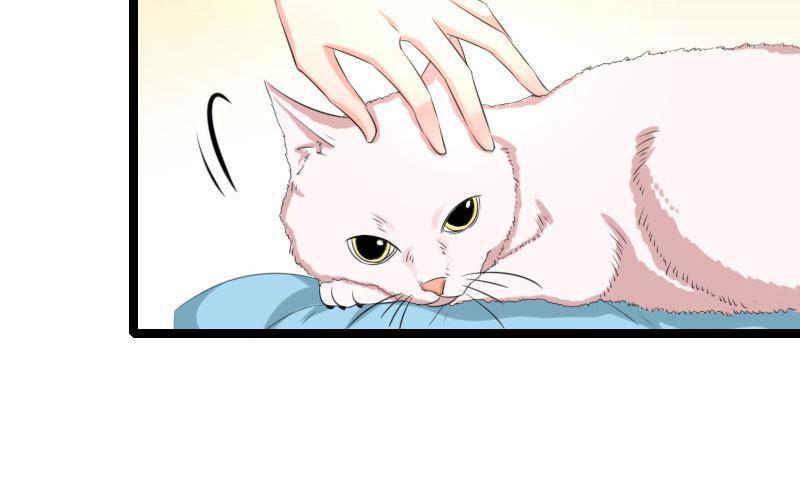Love Is Never Enough Chapter 56 - page 56