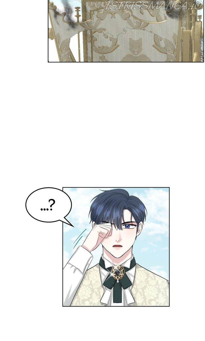 How to Get Rid of My Dark Past? Chapter 48 - page 67