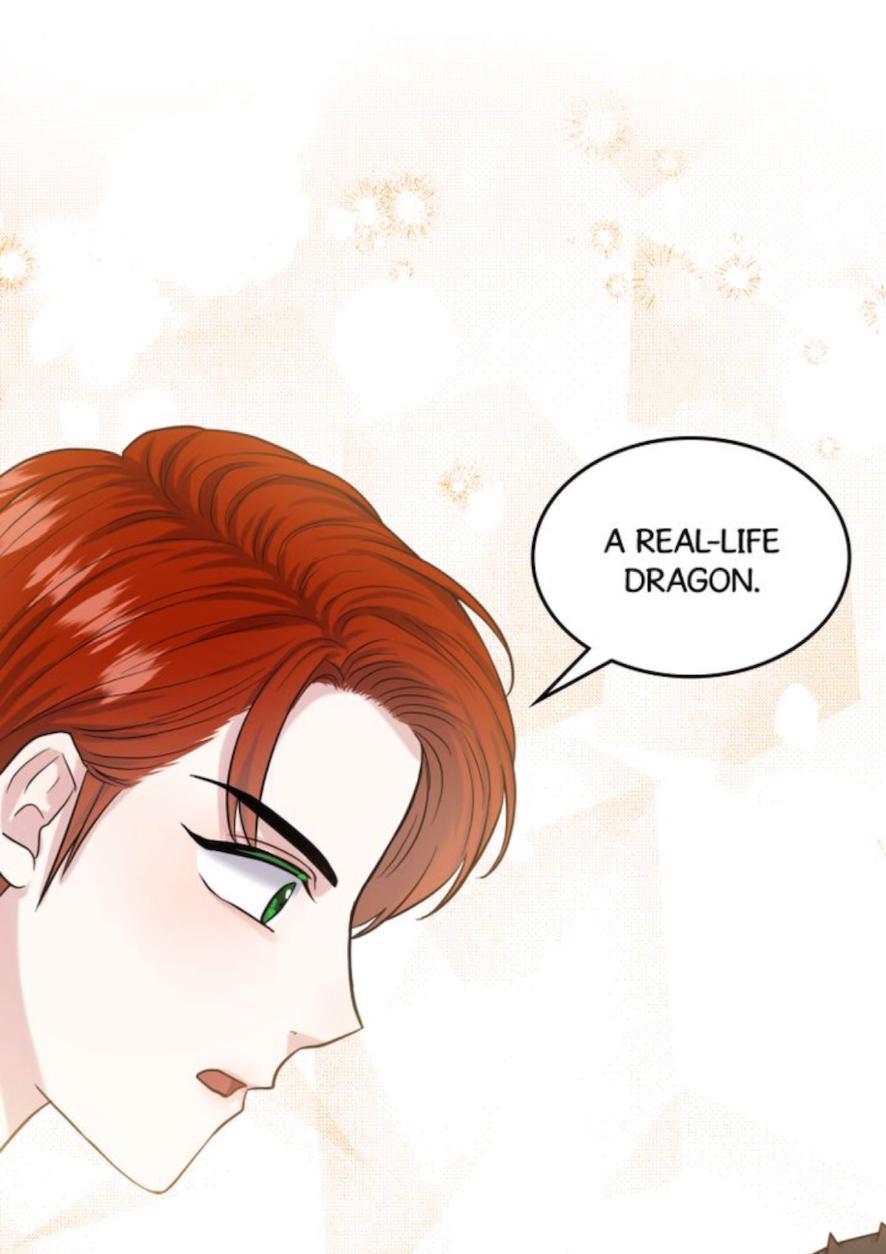 How to Get Rid of My Dark Past? chapter 39 - page 21