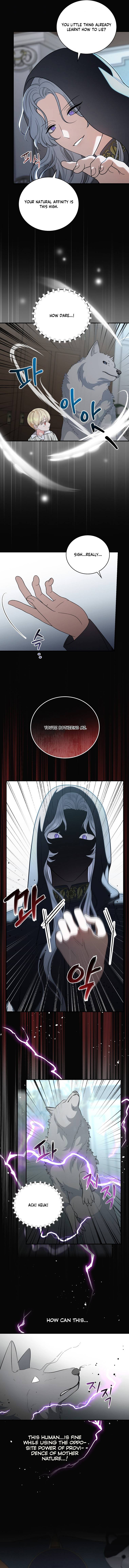 The Duchess of the Glass Greenhouse Chapter 56 - page 13