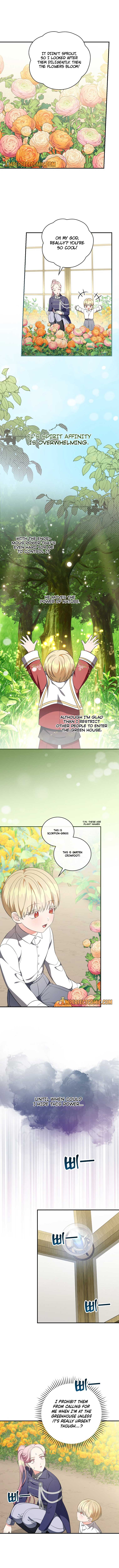 The Duchess of the Glass Greenhouse Chapter 49 - page 6
