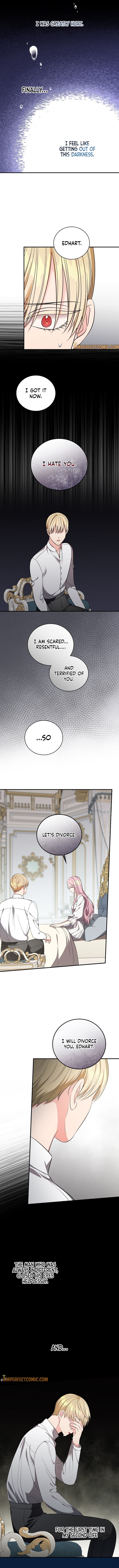 The Duchess of the Glass Greenhouse Chapter 47 - page 11