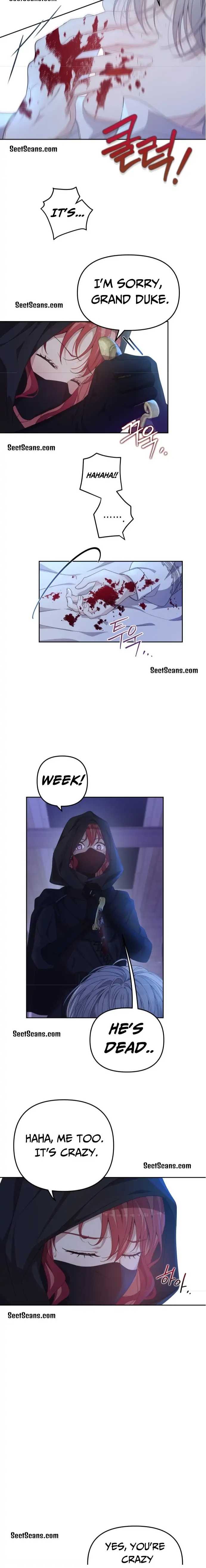 When Villainess And Villain Meet Chapter 3 - page 15