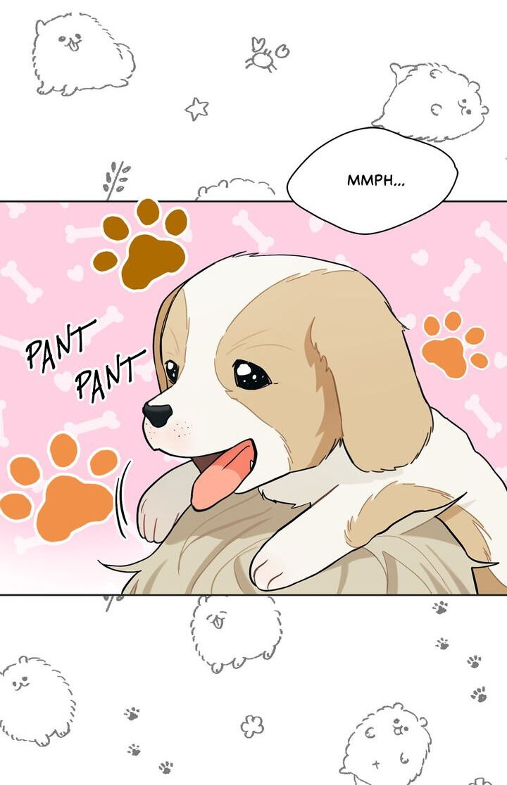 When You’re Targeted by the Bully Chapter 26 - page 12
