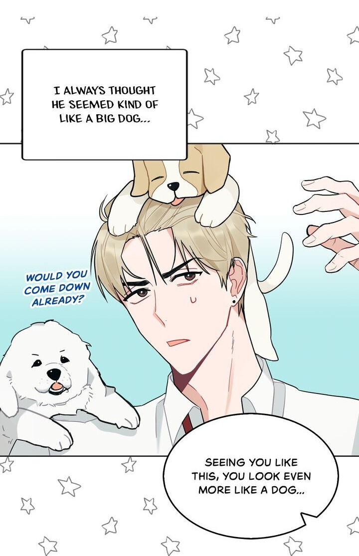 When You’re Targeted by the Bully Chapter 26 - page 16