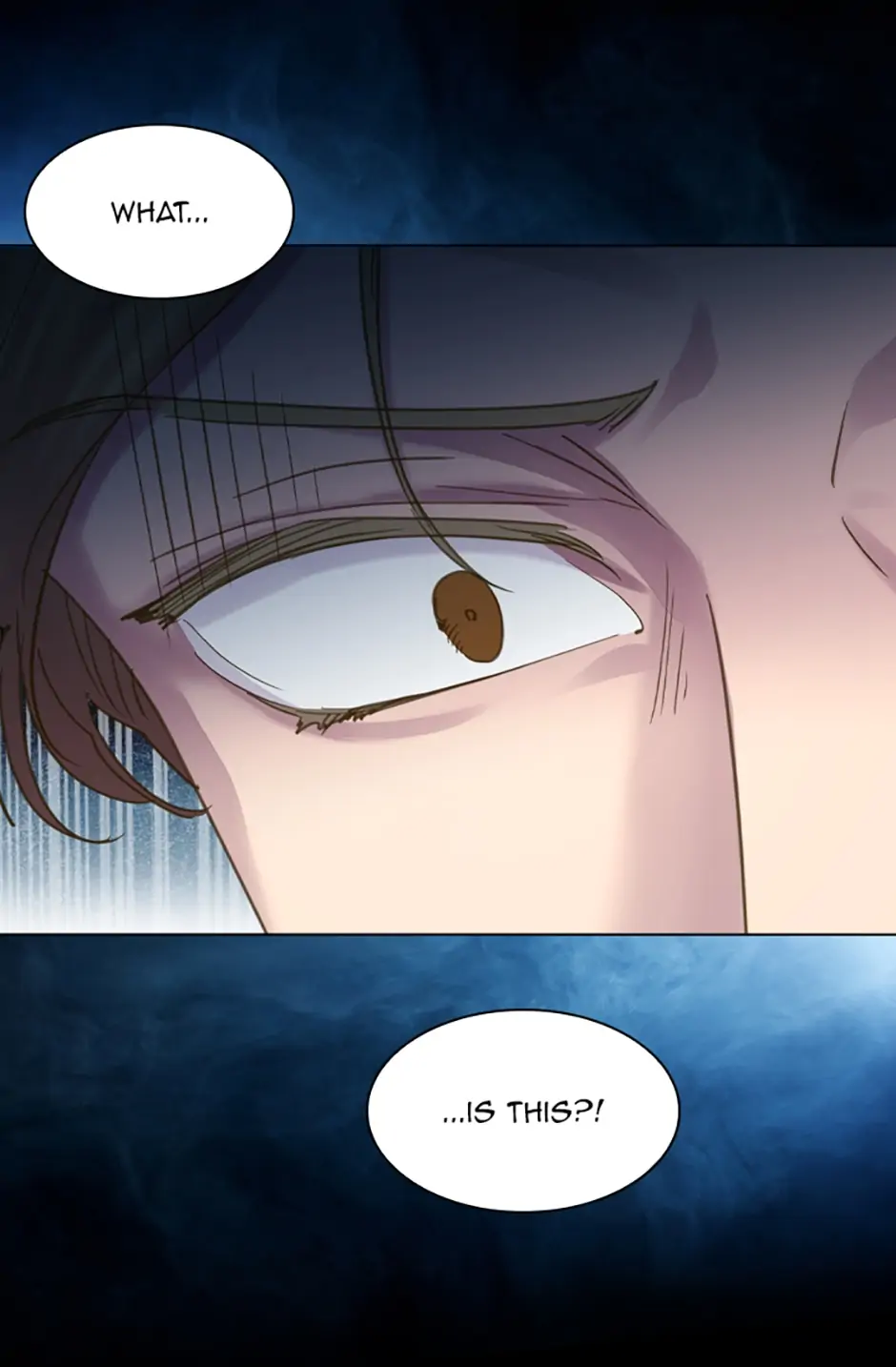 The Lady’s Law of Survival Chapter 67 - page 63