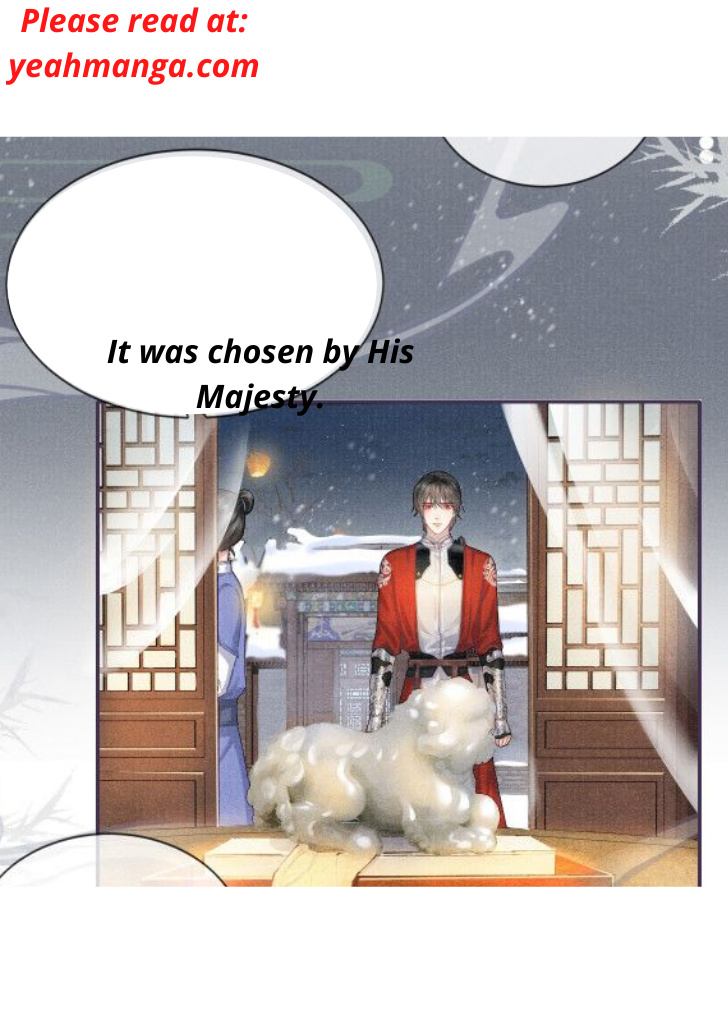 My Majesty Your Grace chapter 13 - page 7