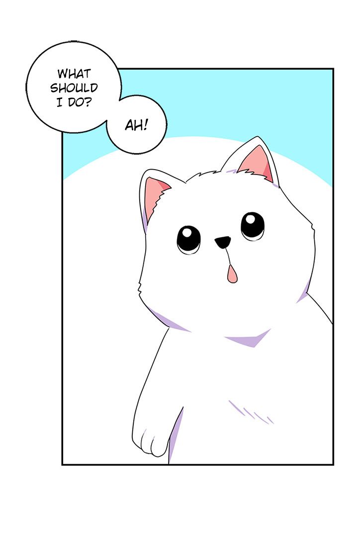Emperor, Stay Here, Your Knight’s Getting Off Work Chapter 24 - page 48