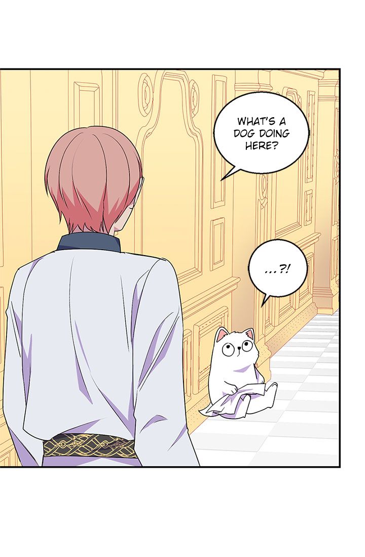 Emperor, Stay Here, Your Knight’s Getting Off Work Chapter 22 - page 1