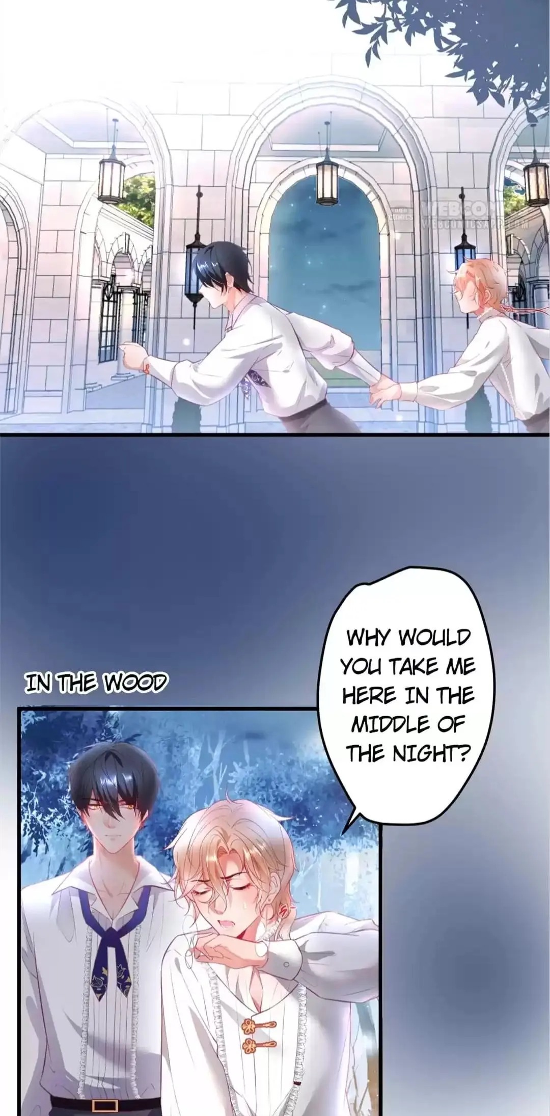 The Prince And His Mischievous One Chapter 13 - page 15