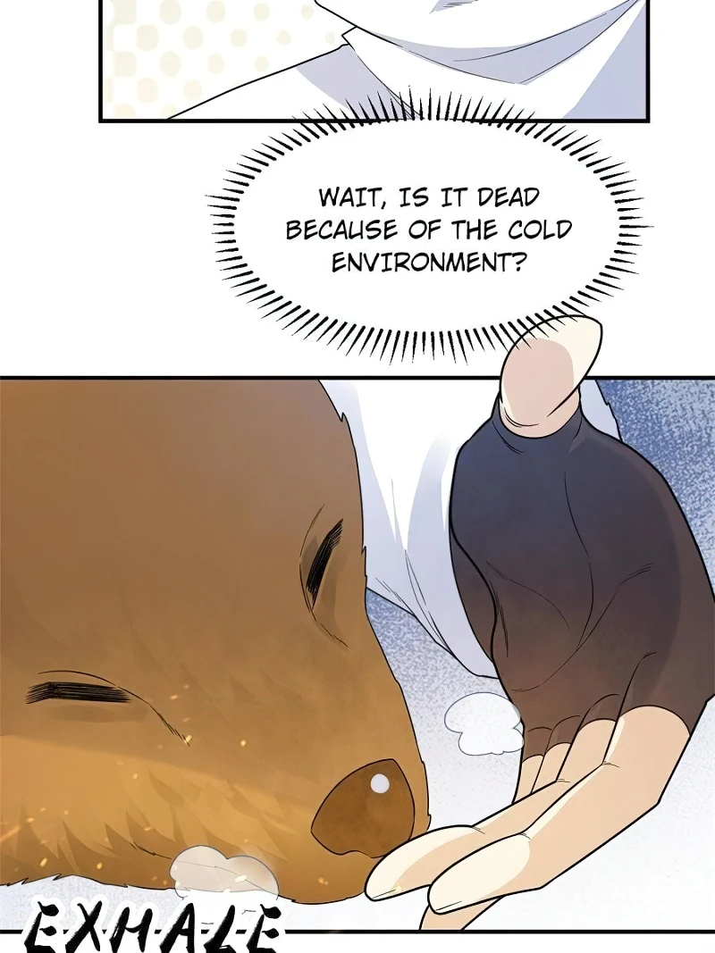 Survive on a deserted island with beautiful girls Chapter 231 - page 47