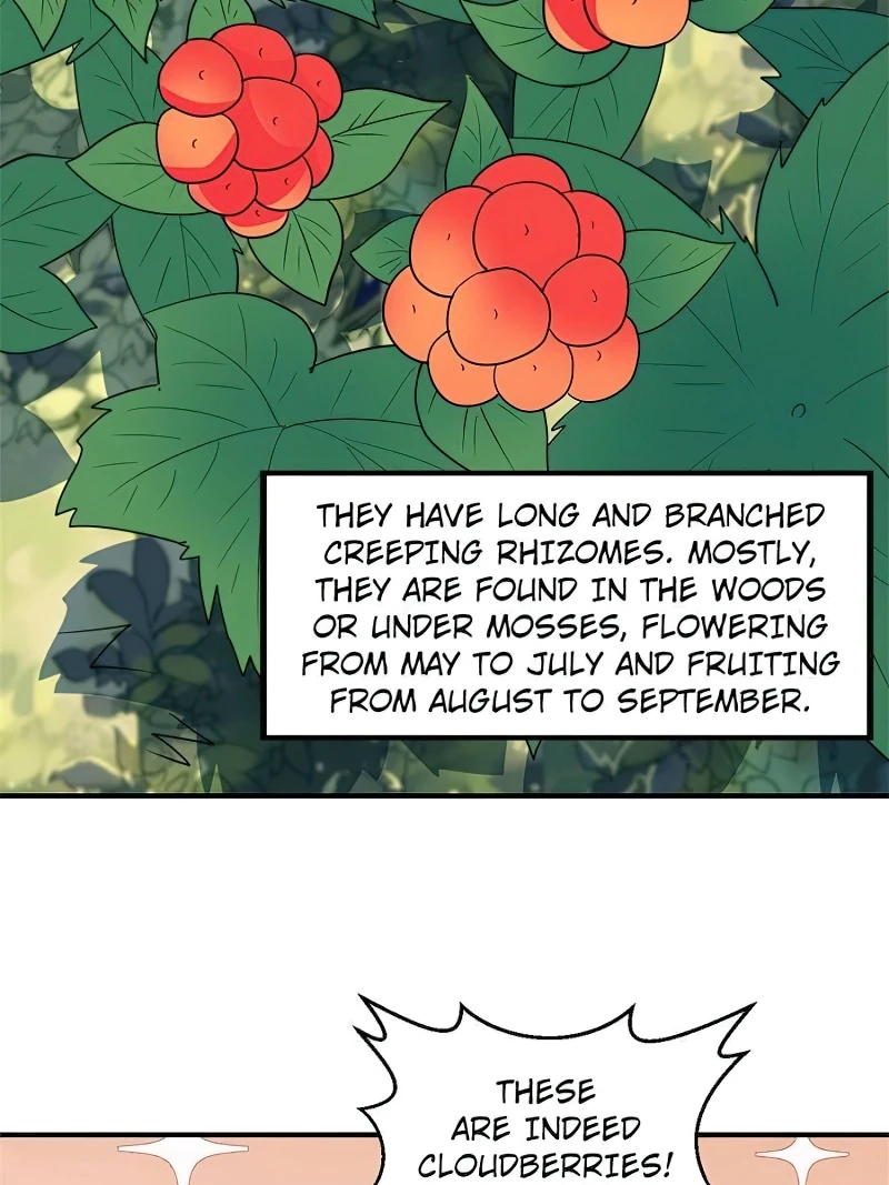 Survive on a deserted island with beautiful girls Chapter 233 - page 16