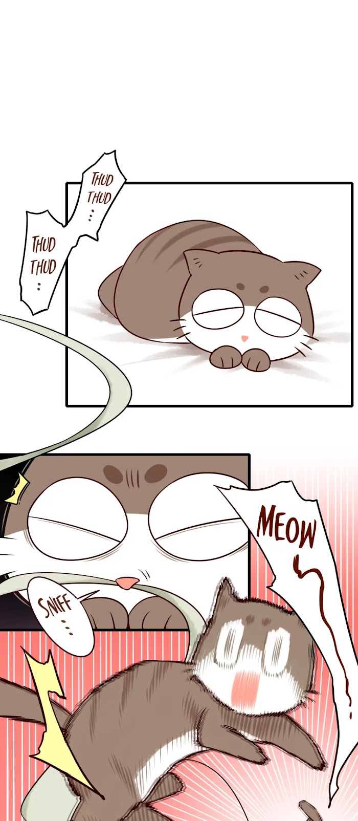 Please, Don’t Livestream It! chapter 54 - page 19