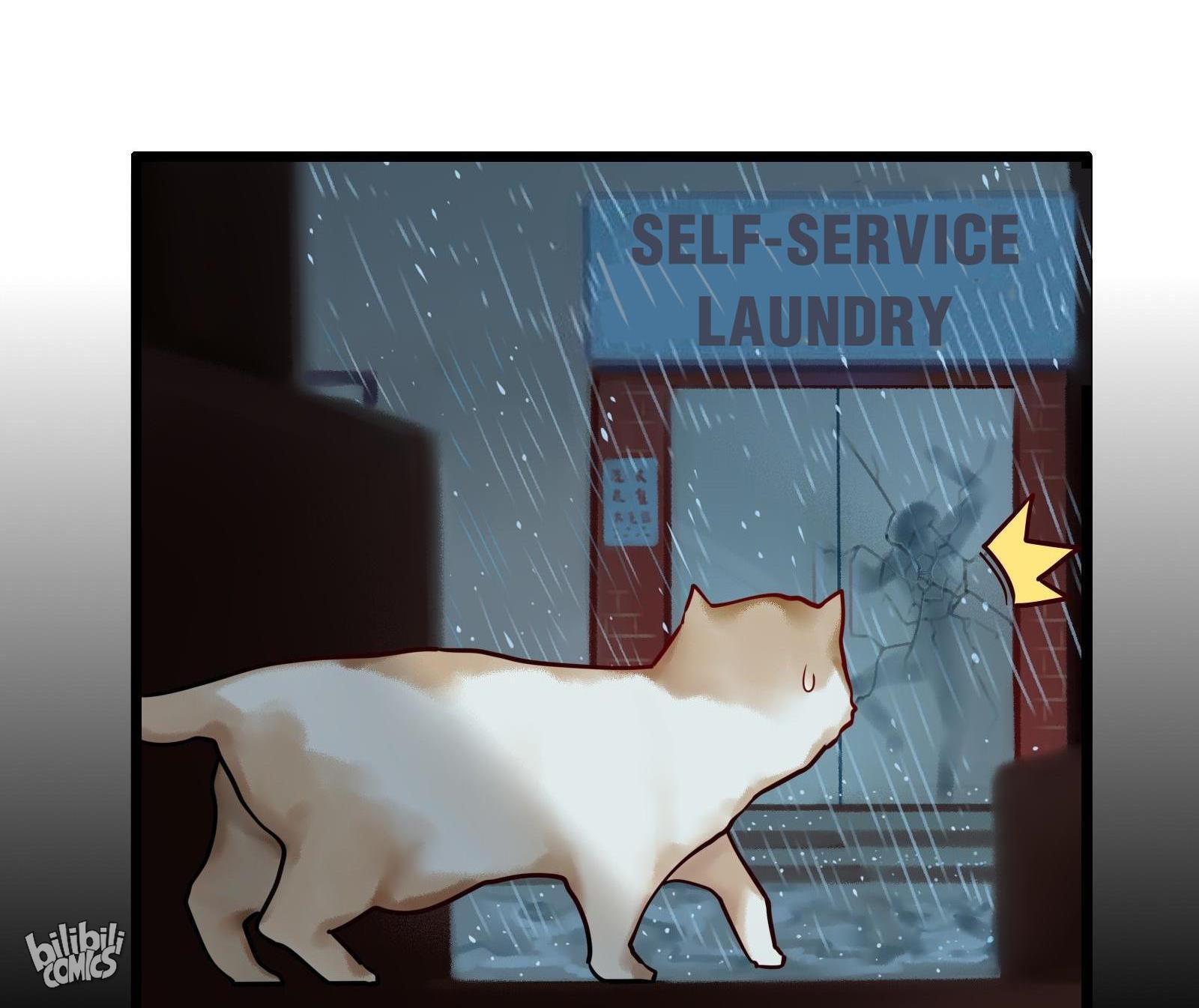 Please, Don’t Livestream It! chapter 6 - page 30