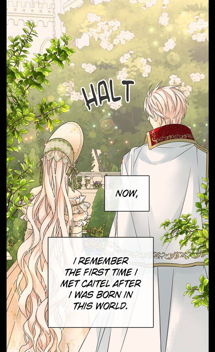 Daughter of the Emperor Chapter 224 - page 49