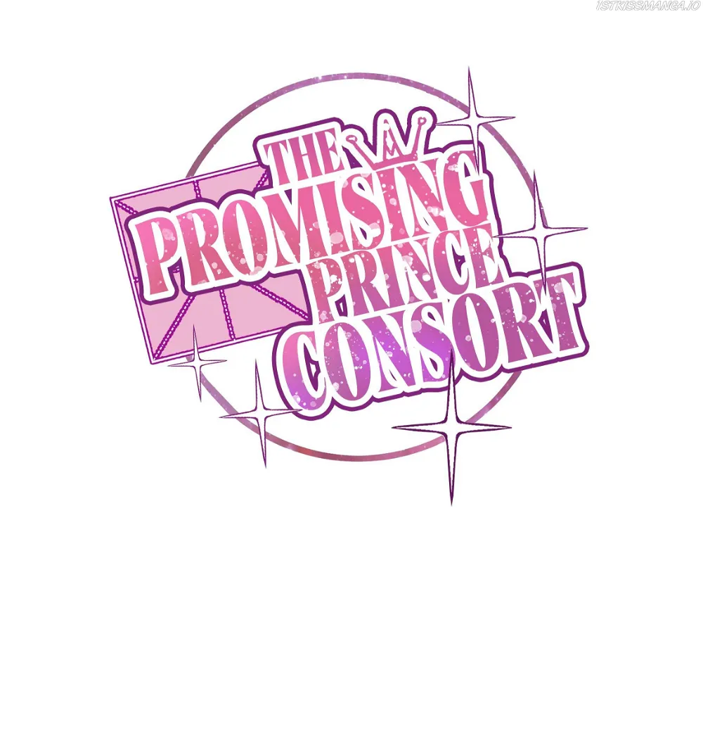 The Prince Consort Is Passing Chapter 26 - page 1