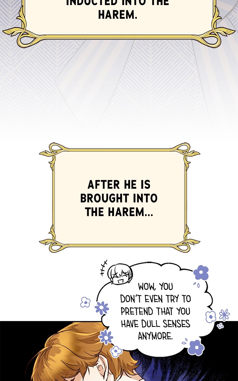 Men of The Harem Chapter 87 - Spin-off 1 - Men of the Harem Recap - page 73