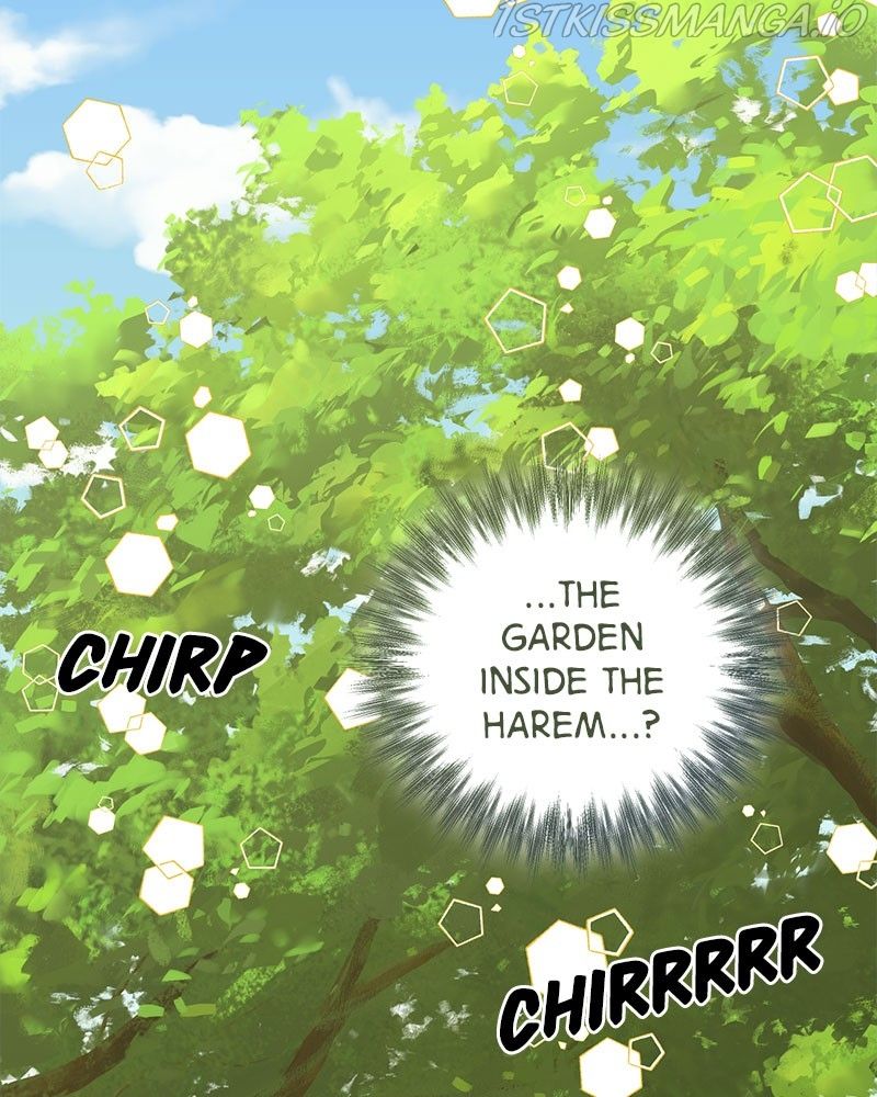Men of The Harem chapter 84 - page 16