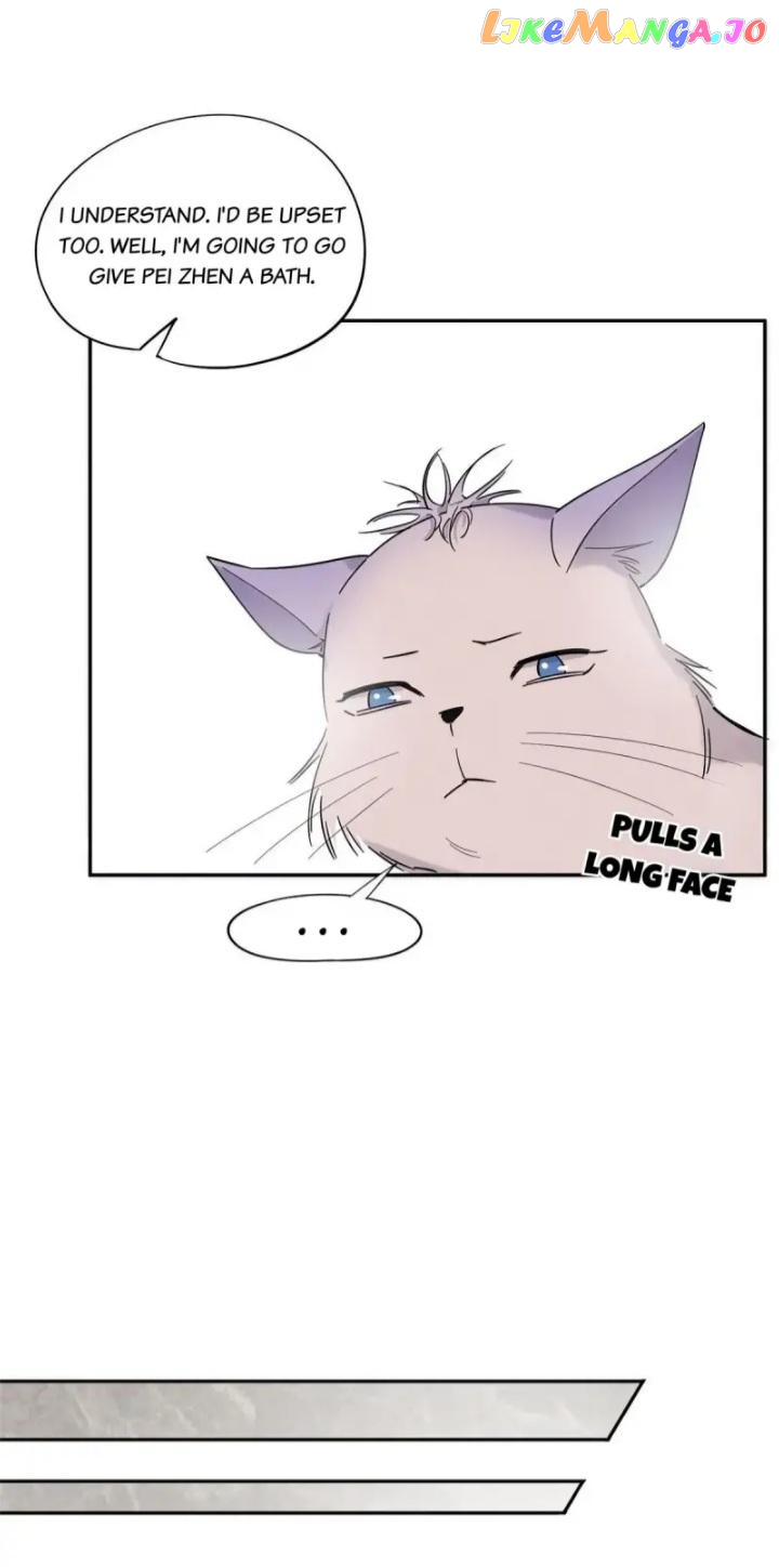 I Have To Work Hard As A Cat Today Chapter 38 - page 13