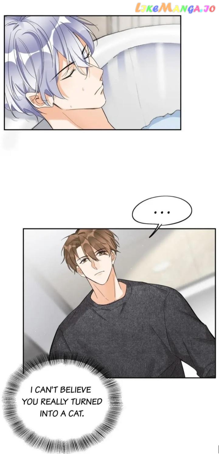 I Have To Work Hard As A Cat Today Chapter 38 - page 15