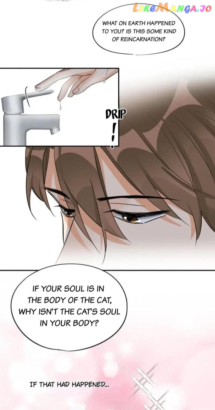 I Have To Work Hard As A Cat Today Chapter 38 - page 16