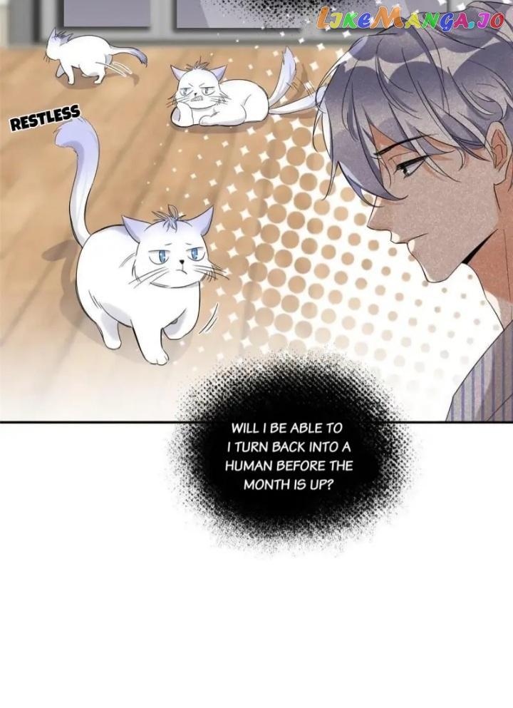 I Have To Work Hard As A Cat Today Chapter 38 - page 21